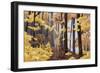 Family of Moose-Kestrel Michaud-Framed Giclee Print