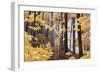 Family of Moose-Kestrel Michaud-Framed Giclee Print
