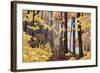 Family of Moose-Kestrel Michaud-Framed Giclee Print