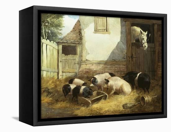 Family of Pigs-John Frederick Herring I-Framed Stretched Canvas