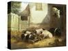 Family of Pigs-John Frederick Herring I-Stretched Canvas