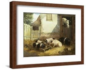 Family of Pigs-John Frederick Herring I-Framed Giclee Print