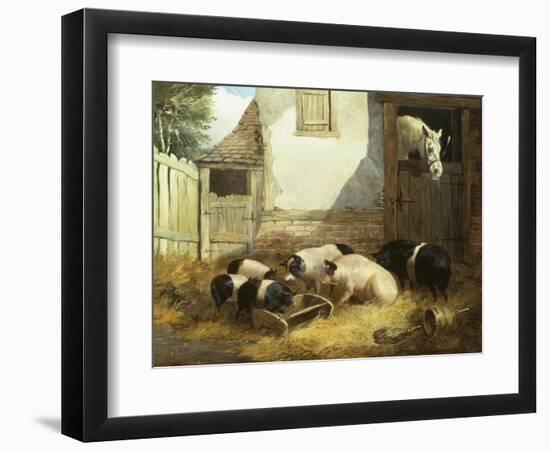 Family of Pigs-John Frederick Herring I-Framed Giclee Print