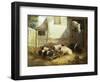 Family of Pigs-John Frederick Herring I-Framed Giclee Print
