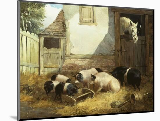 Family of Pigs-John Frederick Herring I-Mounted Giclee Print