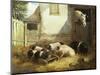 Family of Pigs-John Frederick Herring I-Mounted Giclee Print