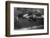 Family of Whales at Marineland-null-Framed Photographic Print