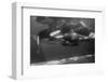 Family of Whales at Marineland-null-Framed Photographic Print