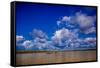 Family on a Canoe, Amazon River, Iquitos, Peru, South America-Laura Grier-Framed Stretched Canvas