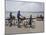 Family on Bicycles, Le Crotoy, Somme Estuary, Picardy, France-David Hughes-Mounted Photographic Print