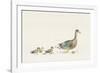 Family Outing-Kristine Hegre-Framed Giclee Print