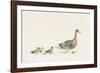 Family Outing-Kristine Hegre-Framed Giclee Print