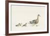 Family Outing-Kristine Hegre-Framed Giclee Print