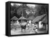 Family Outside their Home, Coolie Street, Kingston, Jamaica, 1931-null-Framed Stretched Canvas