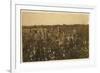 Family Picking Cotton Near Mckinney, Texas, 1913-Lewis Wickes Hine-Framed Photographic Print