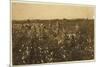 Family Picking Cotton Near Mckinney, Texas, 1913-Lewis Wickes Hine-Mounted Photographic Print