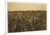 Family Picking Cotton Near Mckinney, Texas, 1913-Lewis Wickes Hine-Framed Photographic Print