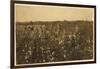 Family Picking Cotton Near Mckinney, Texas, 1913-Lewis Wickes Hine-Framed Photographic Print