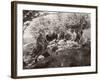 Family Picnic in the Countryside-null-Framed Photographic Print