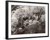 Family Picnic in the Countryside-null-Framed Photographic Print