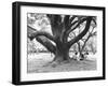 Family Picnic Under Cherry Blossoms, Japan-Walter Bibikow-Framed Premium Photographic Print