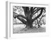 Family Picnic Under Cherry Blossoms, Japan-Walter Bibikow-Framed Premium Photographic Print