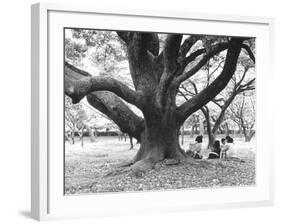 Family Picnic Under Cherry Blossoms, Japan-Walter Bibikow-Framed Photographic Print