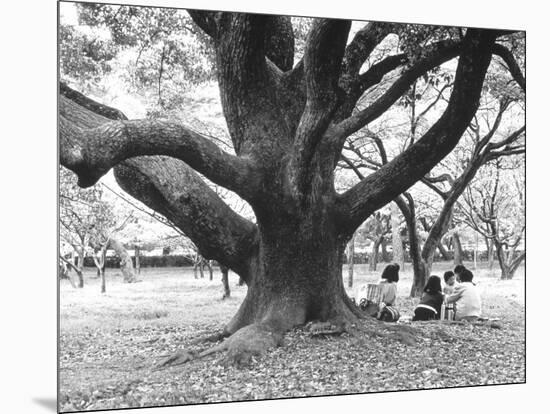 Family Picnic Under Cherry Blossoms, Japan-Walter Bibikow-Mounted Photographic Print