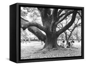 Family Picnic Under Cherry Blossoms, Japan-Walter Bibikow-Framed Stretched Canvas