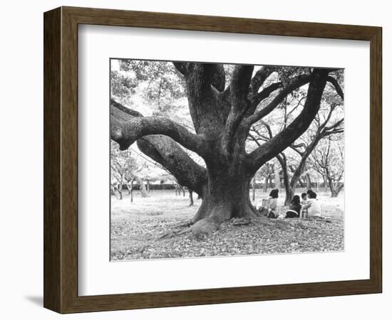 Family Picnic Under Cherry Blossoms, Japan-Walter Bibikow-Framed Photographic Print