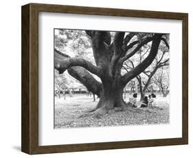 Family Picnic Under Cherry Blossoms, Japan-Walter Bibikow-Framed Photographic Print