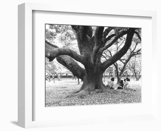 Family Picnic Under Cherry Blossoms, Japan-Walter Bibikow-Framed Photographic Print