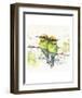 Family (Rainbow Bee Eaters)-Sillier than Sally-Framed Art Print
