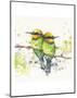 Family (Rainbow Bee Eaters)-Sillier than Sally-Mounted Art Print