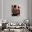 Family Relationships, Mother and Son-null-Premium Photographic Print displayed on a wall