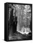 Family Riding Horseback Through Forest-Allan Grant-Framed Stretched Canvas