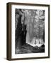 Family Riding Horseback Through Forest-Allan Grant-Framed Photographic Print