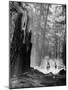 Family Riding Horseback Through Forest-Allan Grant-Mounted Photographic Print