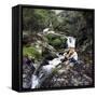 Family Scene at Dolgoch Falls, Snowdonia, Wales, 1969-Michael Walters-Framed Stretched Canvas