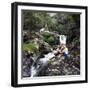 Family Scene at Dolgoch Falls, Snowdonia, Wales, 1969-Michael Walters-Framed Photographic Print