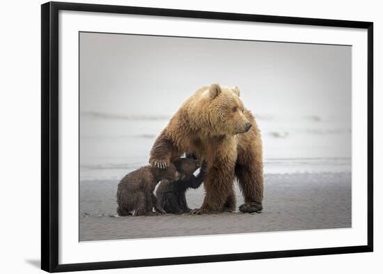 Family Time-Renee Doyle-Framed Giclee Print