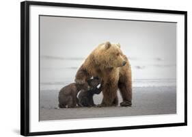 Family Time-Renee Doyle-Framed Giclee Print