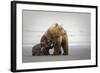 Family Time-Renee Doyle-Framed Photographic Print