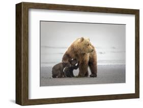 Family Time-Renee Doyle-Framed Photographic Print