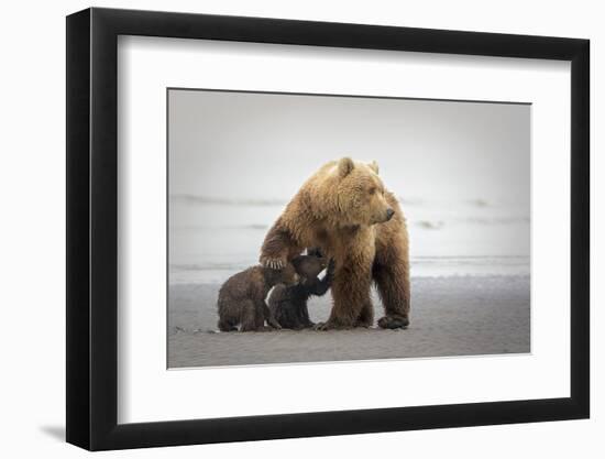 Family Time-Renee Doyle-Framed Photographic Print