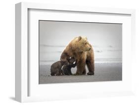 Family Time-Renee Doyle-Framed Photographic Print