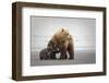 Family Time-Renee Doyle-Framed Premium Photographic Print