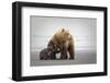 Family Time-Renee Doyle-Framed Premium Photographic Print