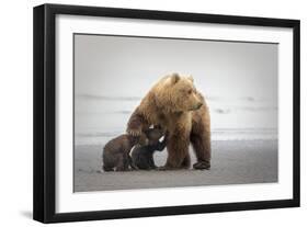 Family Time-Renee Doyle-Framed Photographic Print