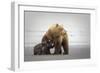 Family Time-Renee Doyle-Framed Photographic Print